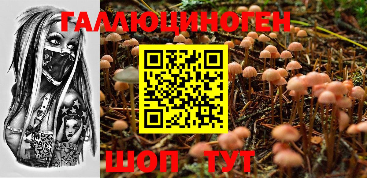 Канаш  Псилоцибиновые грибы Cubensis  Галлюциногенные грибы мухоморы  Вход с VPN 